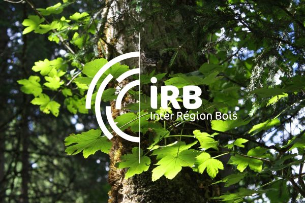 Création logo à Rennes, Inter Région Bois